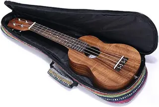 Tosnail 23 Inch Heavy Duty Ukulele Cases