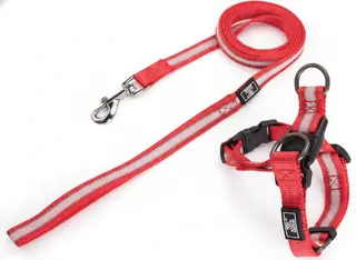 Dual-Reflective Anti-Slip Dog Collar & 150cm Leash Set