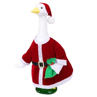 Christmas Santa Porch Goose Outfit