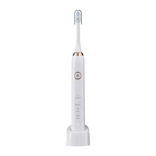 Rechargeable Electric Toothbrush