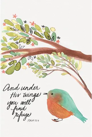 Tree-Free Greetings 12 Pack All Occasion Notecards – Under His Wings