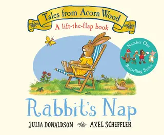 Rabbit's Nap: A lift-the-flap book: 4