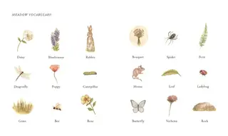 Our Little Adventure Series: A Modern Heirloom Books Set Featuring First Words and Language Development