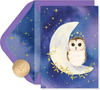 Papyrus 14-Count Blank Cards with Envelopes (Celestial Owl)