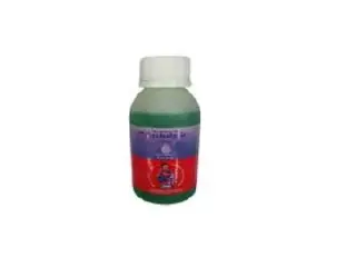 Antalgic Syrup 100ml Caps