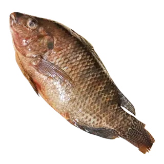 Breams Fish Per Kg