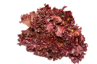 Red Lettuce - Each