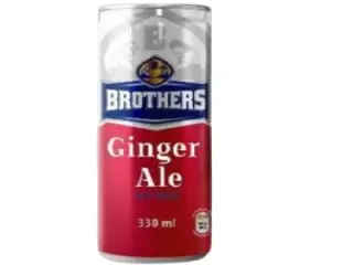 Drink Ginger Ale Can 330ml Brothers