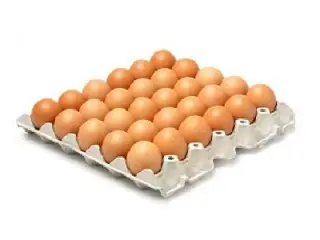 Egg Tray 30s