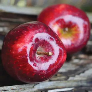 Top Red Apples kg