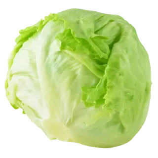Lettuce