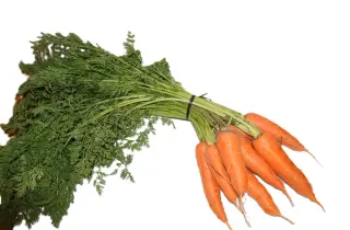 Carrots - Bunch