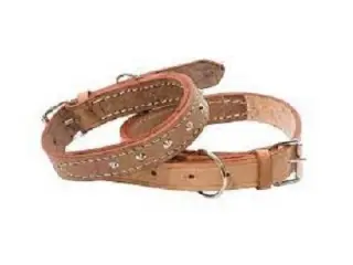 Pet Collar 30mm Dfm5017 Marltons