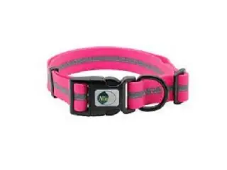 Pet Dog Collar T415