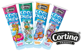 Cortina Cool Dude Lolly A/F 12 x 110ML