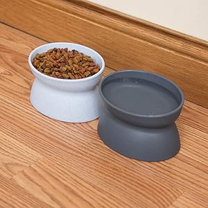 Kitty City Raised Cat Food Bowl Collection/Stress Free Pet Feeder and Waterer and Slow Feed