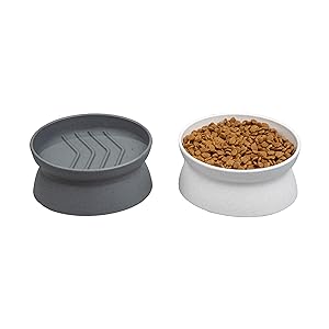 Kitty City Raised Cat Food Bowl Collection/Stress Free Pet Feeder and Waterer and Slow Feed