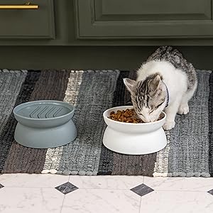 Kitty City Raised Cat Food Bowl Collection/Stress Free Pet Feeder and Waterer and Slow Feed