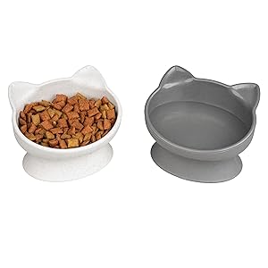 Kitty City Raised Cat Food Bowl Collection/Stress Free Pet Feeder and Waterer and Slow Feed