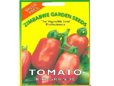 Seed Tomato Rio Grande 20g Zgs