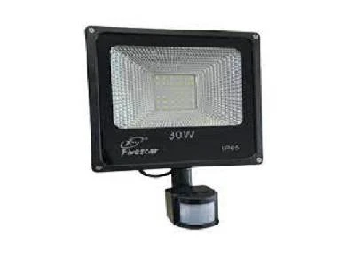 Flood Light 30w Tgd30w Fs