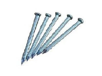Steel Nails 4" Flat 500gr T589
