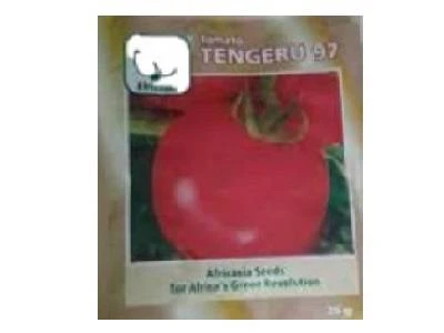 Seed Tomato Tengeru 20g Zgs