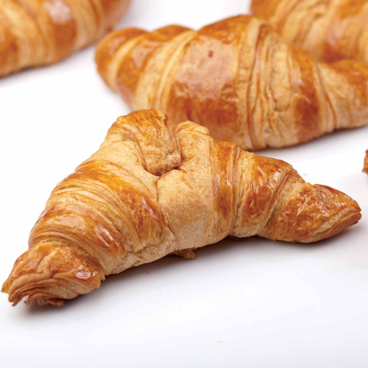 Plain Croissant