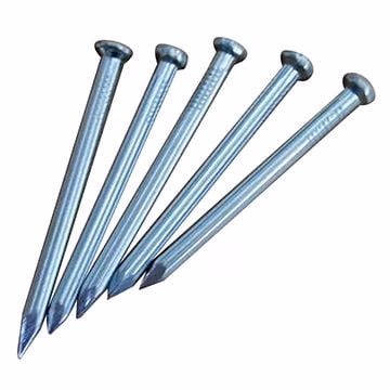 Nails Steel 100mm (4 Inch) 1kg