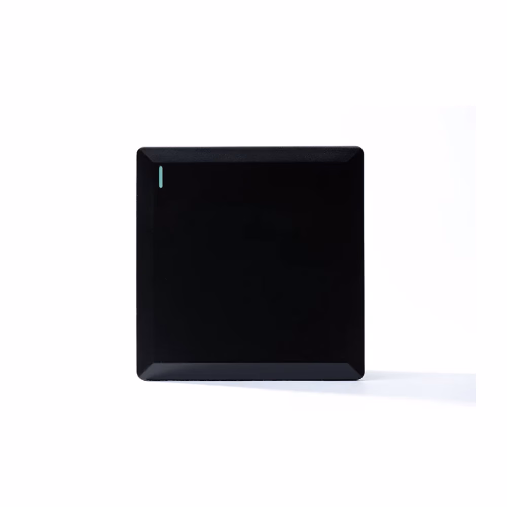 1g 2w Plate Switch Black
