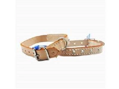 Pet Collar 23mm Dfm5015 Marltons