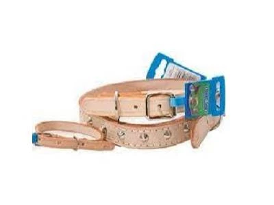 Pet Dog Collar 25mm Dfm5016 Marltons