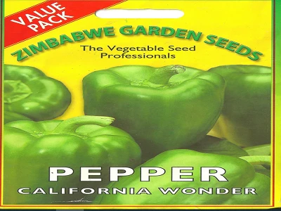 Seed Green Pepper Vp Zgs