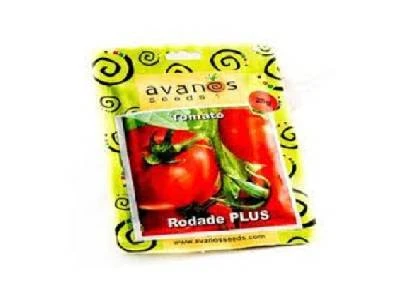 Seed Rodade 20g Zgs