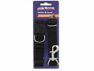 Pet Collar & Lead Dfm5137 Marltons