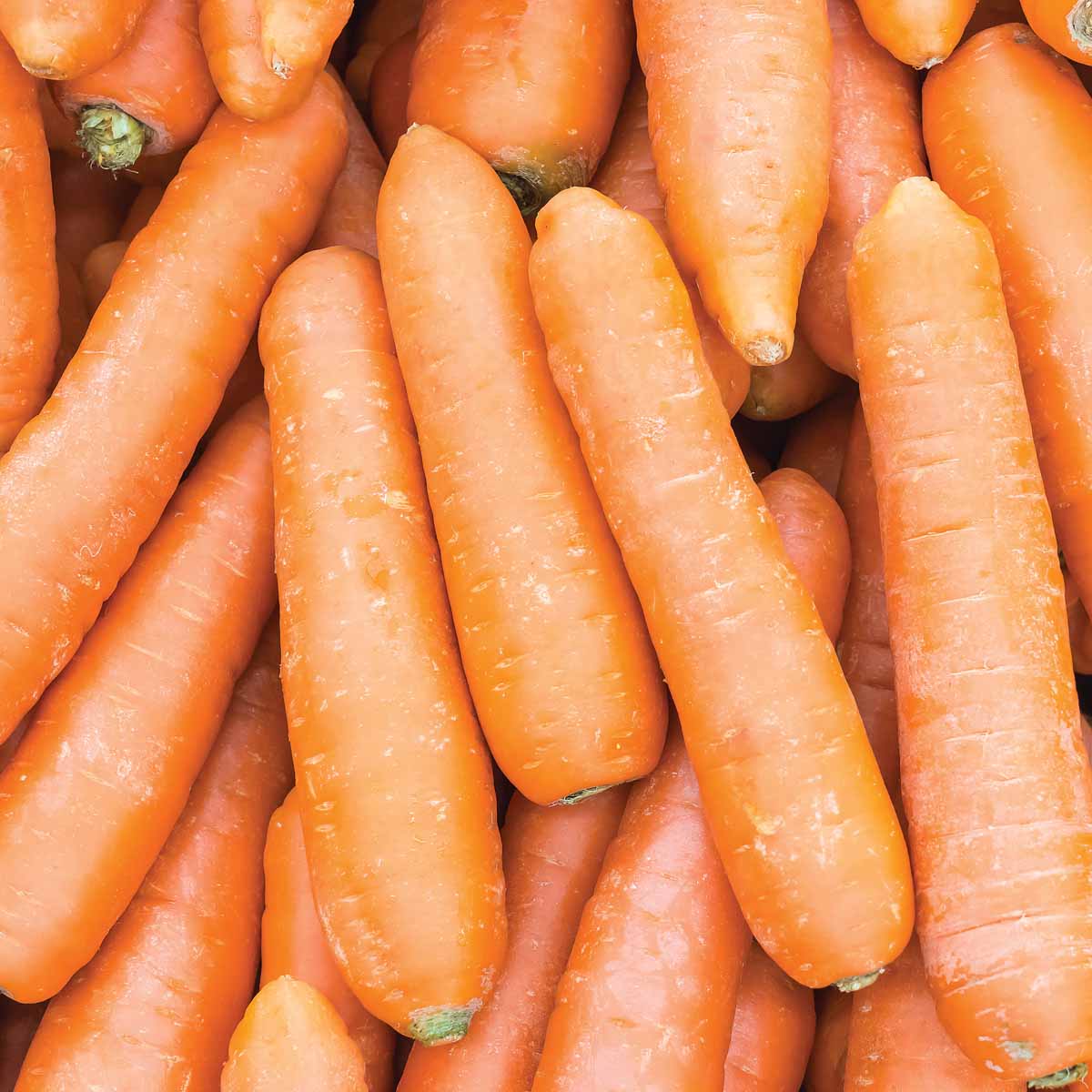 Rugani Carrots Sachet 1kg