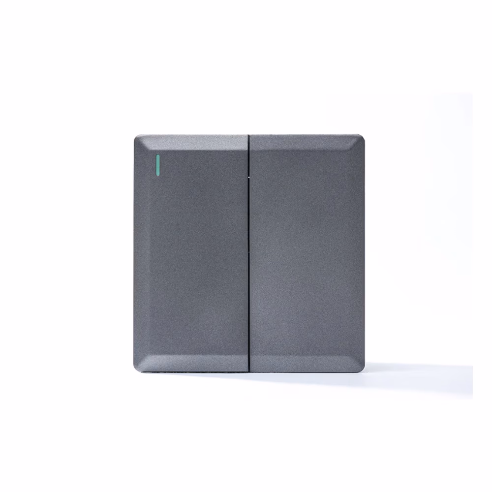 2g 2w Plate Switch Silver