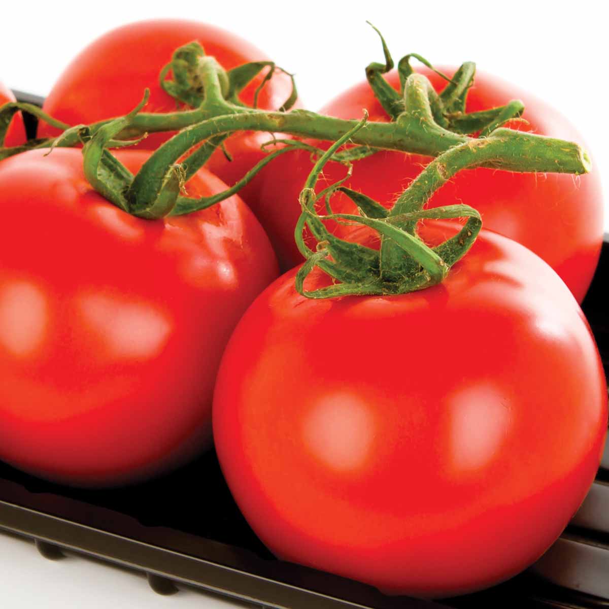 Tomatoes Loose kg