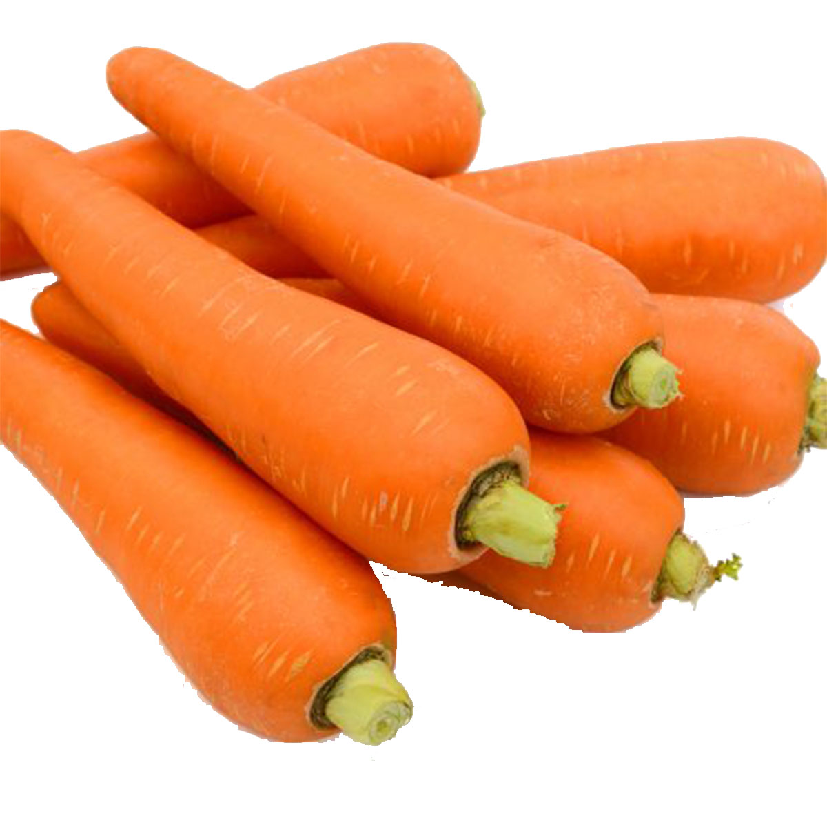 Carrots Pnt