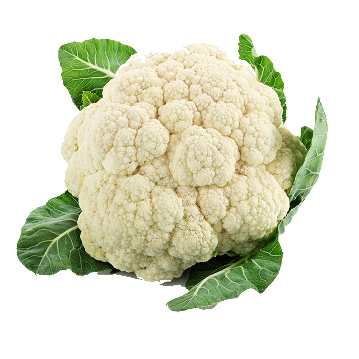 Cauliflower Pnt