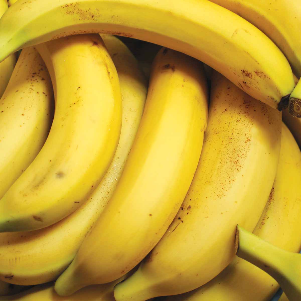 Bananas kg