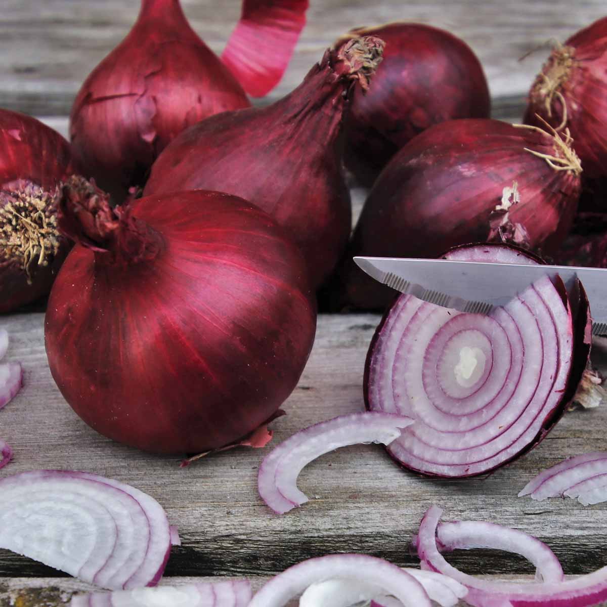 Red Onions kg