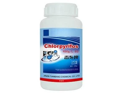 Chloropyriphos 100ml Ct