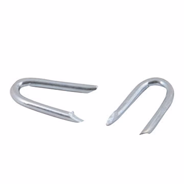 Nails Staple U 40mm(1.5 Inch) 1kg