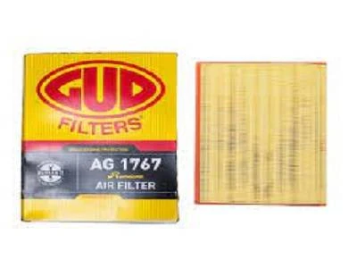Filter Air Ag1767 Gud