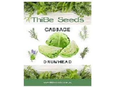 Seed Cabbage Drumhead 20g Zgs