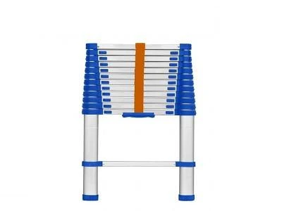 Ladder 12 Step Telescopic Wld5h12 Wadfow