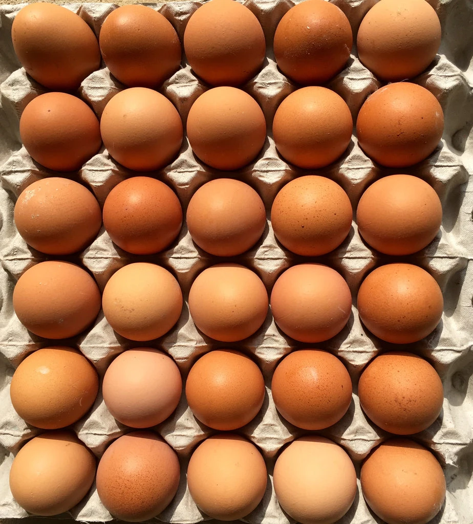 Festive Eggs 1/2 Dz