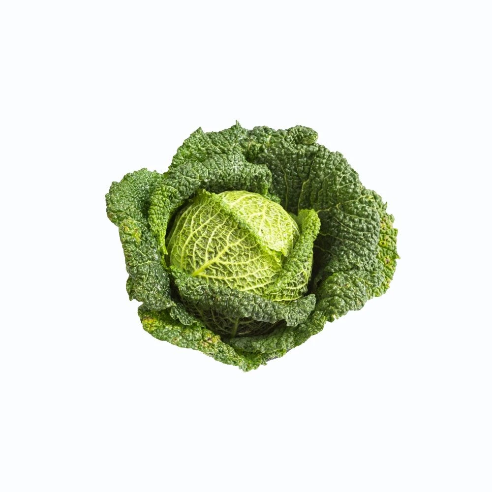 Cabbage (Head)