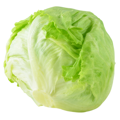 lettuce